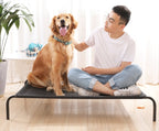 Steel Frame Pet Bed with Removable Washable Mesh Cover – Up to 15 kg