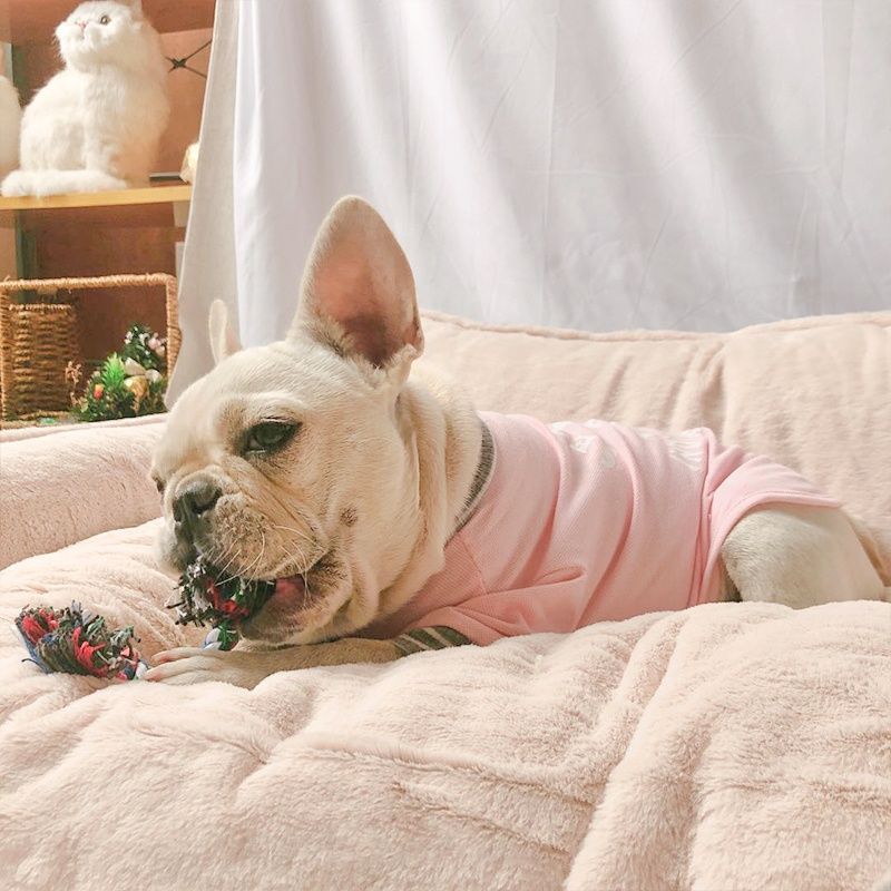 Removable & Washable Dog Bed – Plush and Cozy Pet Kennel