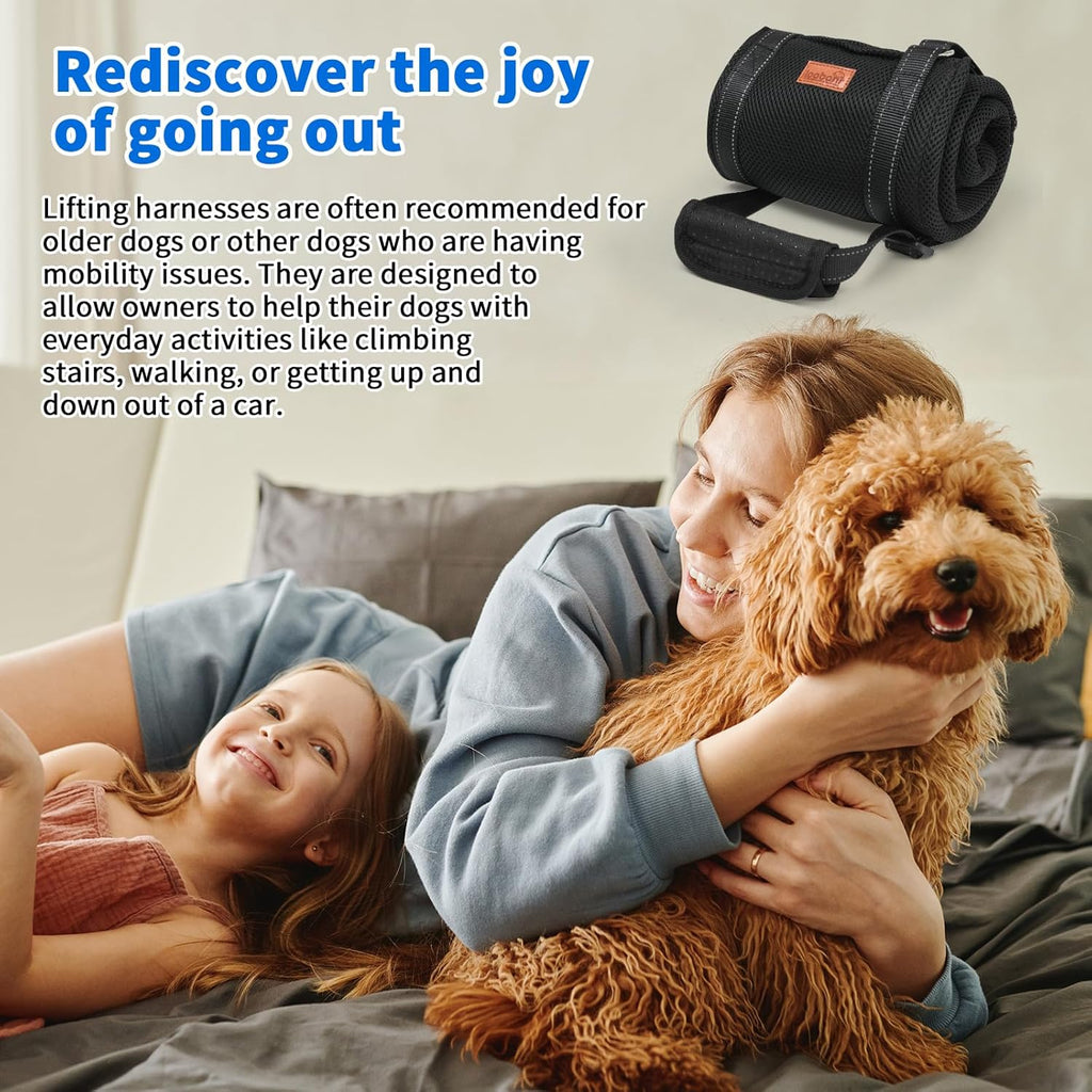Portable Dog Support Sling – Assistive Lift for Back & Hind Legs