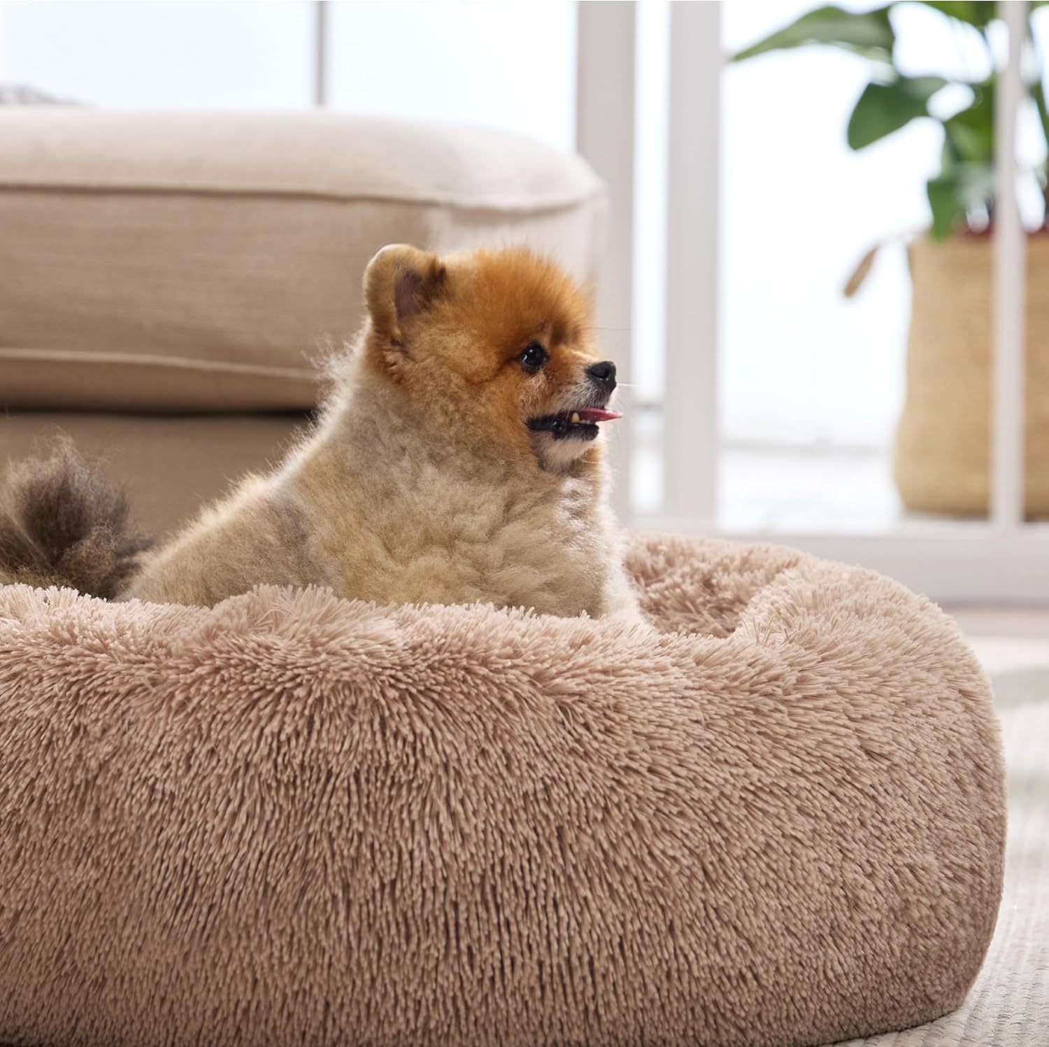 Fluffy Round Pet Bed – Soft Plush with Non-Slip Bottom