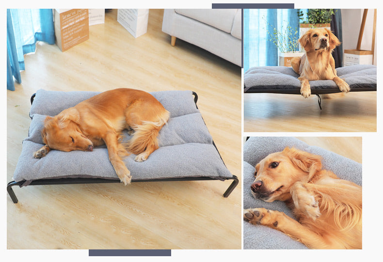 Steel Frame Pet Bed with Removable Washable Mesh Cover – Up to 15 kg