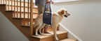 Portable Dog Support Sling – Assistive Lift for Back & Hind Legs