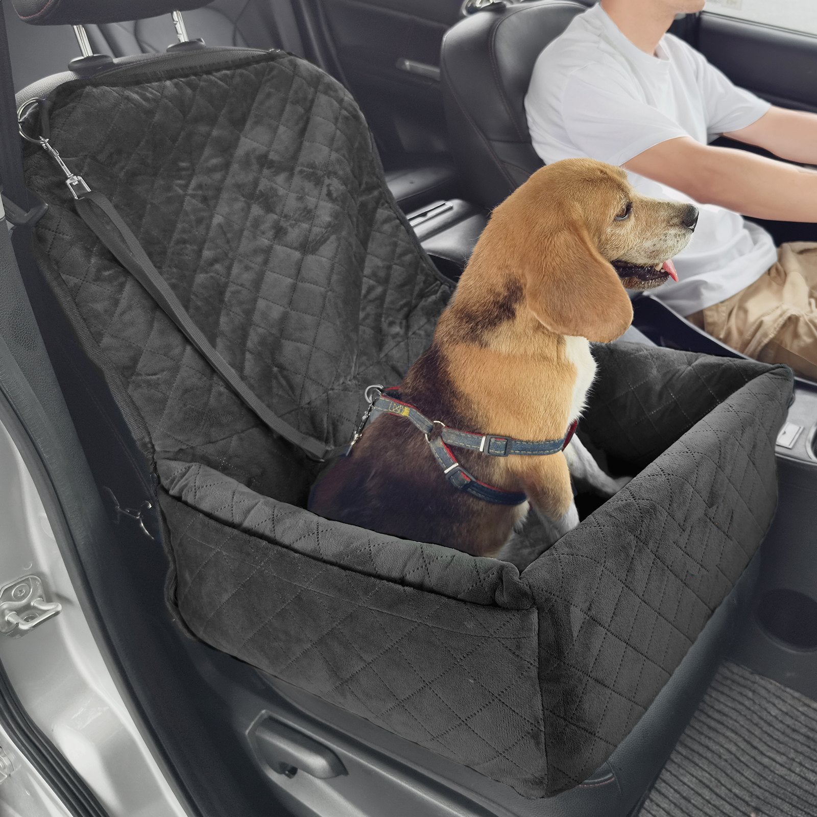 Keep Your Dog Safe & Calm with a Booster Car Seat (Up To 40 lbs )