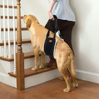 Portable Dog Support Sling – Assistive Lift for Back & Hind Legs