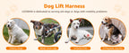 Portable Dog Support Sling – Assistive Lift for Back & Hind Legs