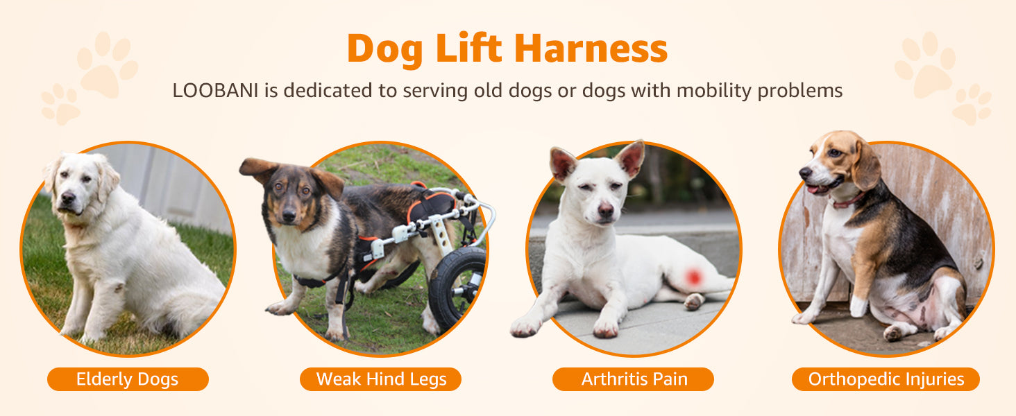 Portable Dog Support Sling – Assistive Lift for Back & Hind Legs