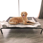 Steel Frame Pet Bed with Removable Washable Mesh Cover – Up to 15 kg
