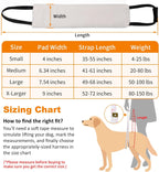Portable Dog Support Sling – Assistive Lift for Back & Hind Legs