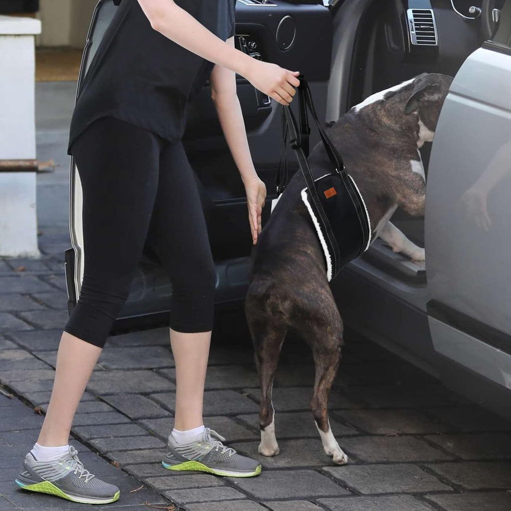 Portable Dog Support Sling – Assistive Lift for Back & Hind Legs