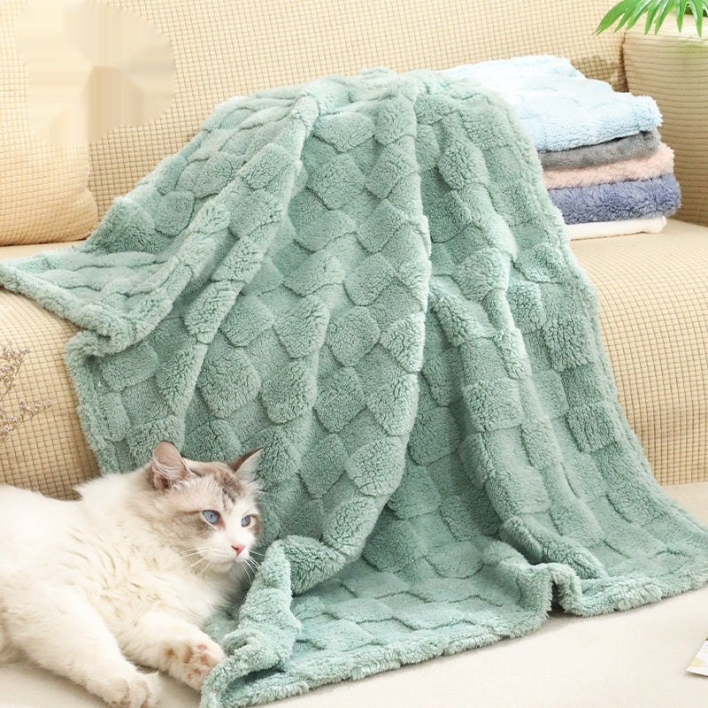 Cozy Pet Blanket