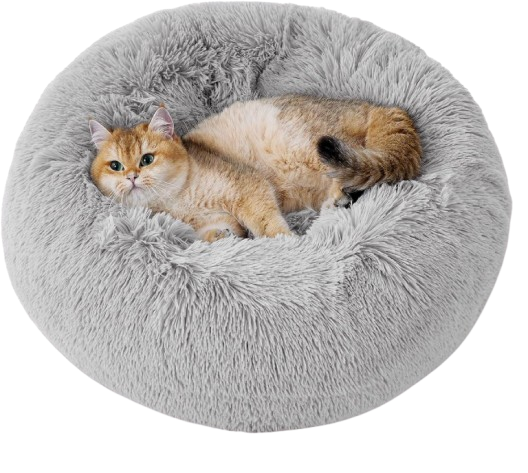 8_eb0f6c29-1c50-4c31-b88c-d1de77f7fb37-removebg-preview