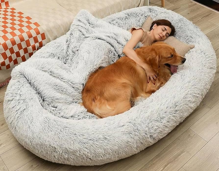 dog bed
